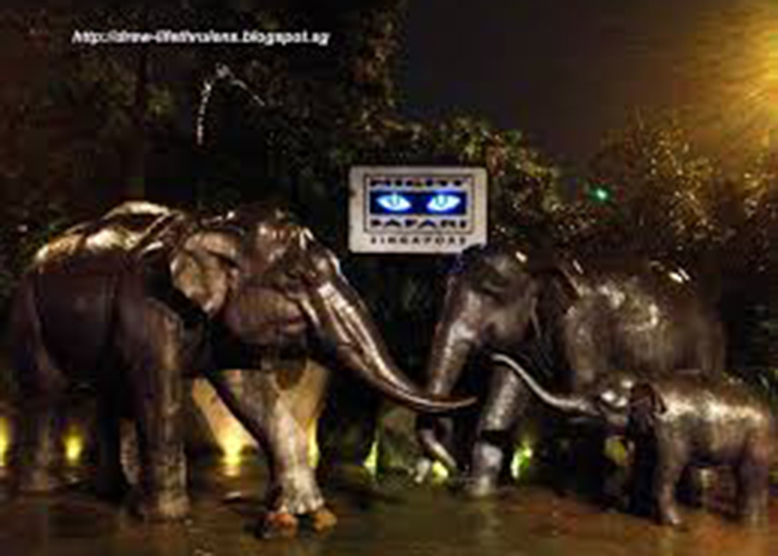 https://d3r8gwkgo0io6y.cloudfront.net/upload/Q2/singapore-night-safari-1.jpg