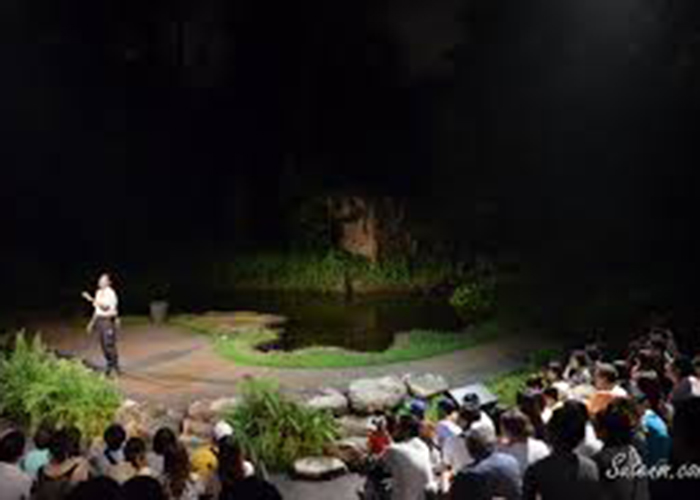 https://d3r8gwkgo0io6y.cloudfront.net/upload/Q2/singapore-night-safari-creatures-of-nighit-show.jpg
