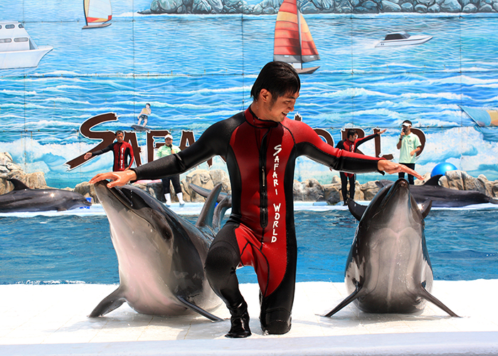 https://d3r8gwkgo0io6y.cloudfront.net/upload/Q2/thailand-bangkok-safari-world-8.jpg