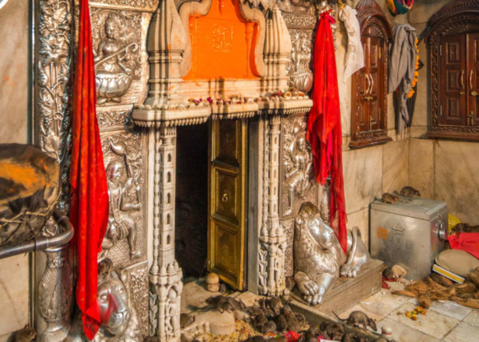 https://d3r8gwkgo0io6y.cloudfront.net/upload/RC/India-rajasthan-bikaner-deshnok-karni-mata-temple-1.jpg