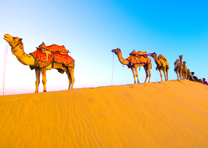 https://d3r8gwkgo0io6y.cloudfront.net/upload/RC/India-rajasthan-jaisalmer-san-dunes-camel-ride-1.jpg