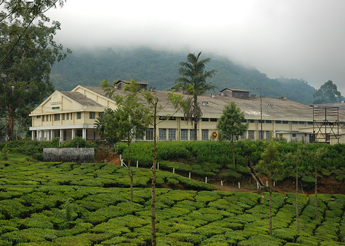 https://d3r8gwkgo0io6y.cloudfront.net/upload/S6/munnar-Mattupatti_tea_factory.jpg