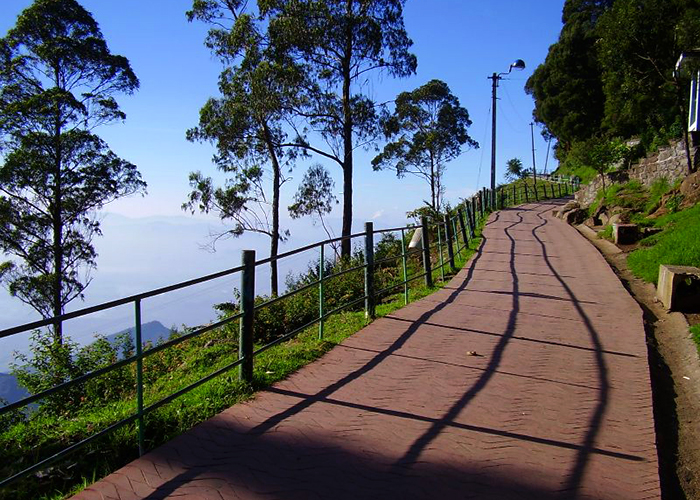 https://d3r8gwkgo0io6y.cloudfront.net/upload/S8/India-south-india-tamil-nadu-Kodaikanal-Coaker's-Walk-1.jpg
