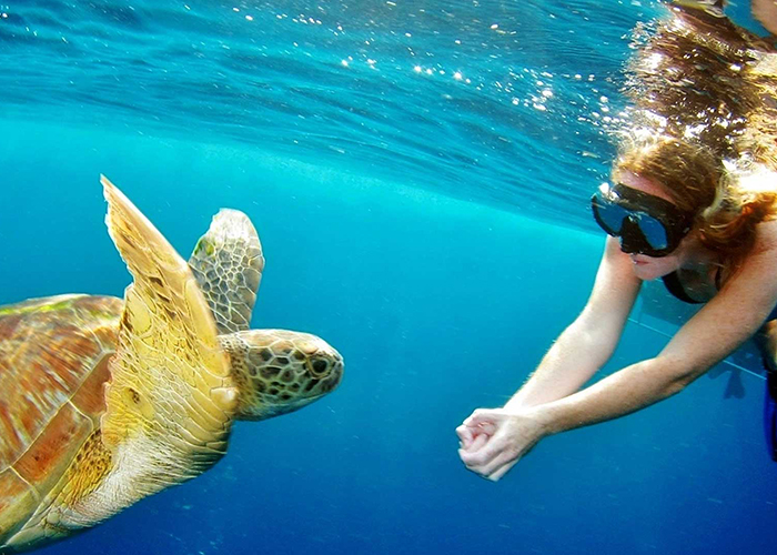 https://d3r8gwkgo0io6y.cloudfront.net/upload/SY/inia-andaman-havelock-snorkelling-1.jpg