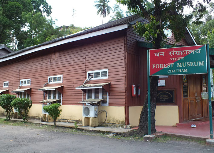 https://d3r8gwkgo0io6y.cloudfront.net/upload/SZ/india-andaman-forest-museum.jpg