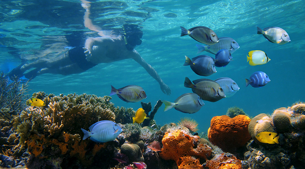 https://d3r8gwkgo0io6y.cloudfront.net/upload/Snorkelling1.jpg