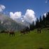 https://d3r8gwkgo0io6y.cloudfront.net/upload/Sonmarg.jpg