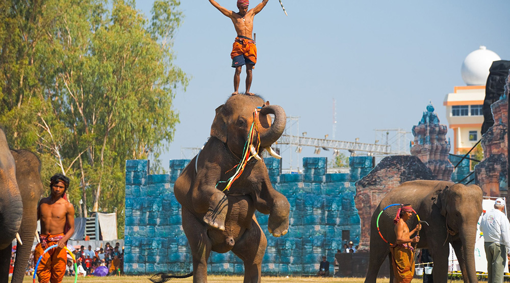 https://d3r8gwkgo0io6y.cloudfront.net/upload/Surin-Elephant-show-–--Thailand.jpg