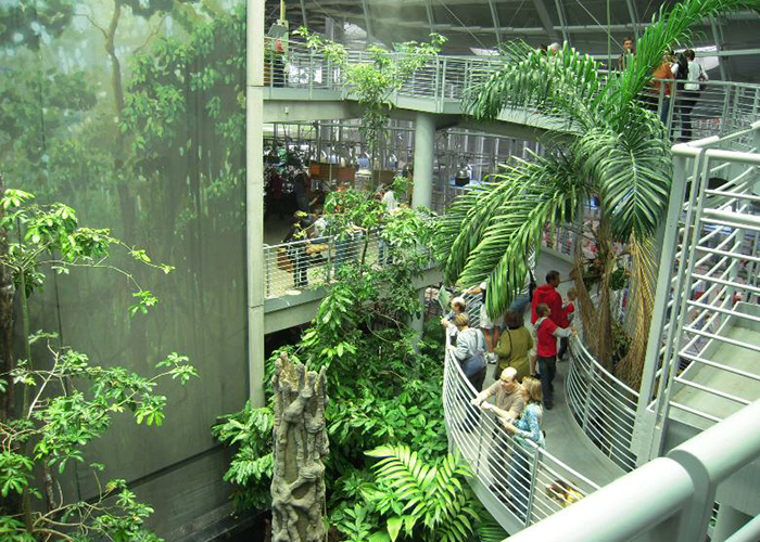 https://d3r8gwkgo0io6y.cloudfront.net/upload/U3/USA-california-acadamy-science-rainforest-3.jpg