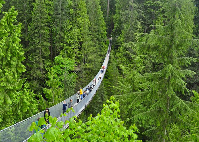 https://d3r8gwkgo0io6y.cloudfront.net/upload/UA/US-America-Alaska-vancouver-capilano-suspension-bridge-1.jpg