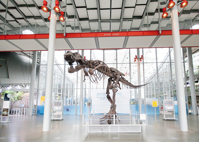 https://d3r8gwkgo0io6y.cloudfront.net/upload/US/USA-california-natural-history-museum-1.jpg