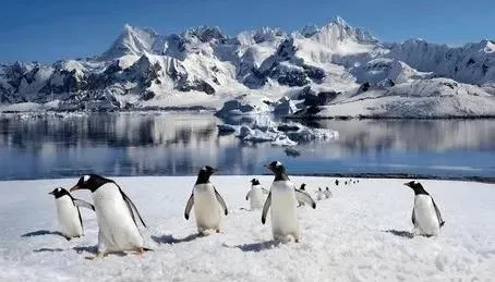 ANTARCTICA