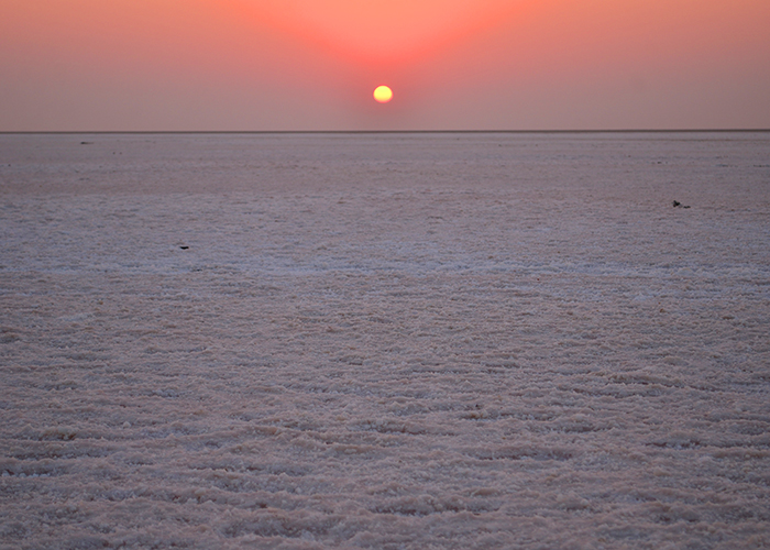 https://d3r8gwkgo0io6y.cloudfront.net/upload/WR/india-gujarat-white-desset-sun--rise.jpg