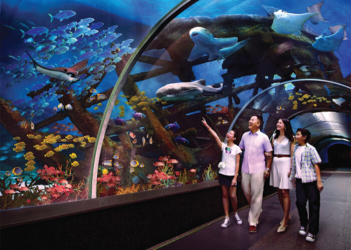 https://d3r8gwkgo0io6y.cloudfront.net/upload/WS/Singapore-Sentosa-SEAAquarium-Marinelifepark.jpg
