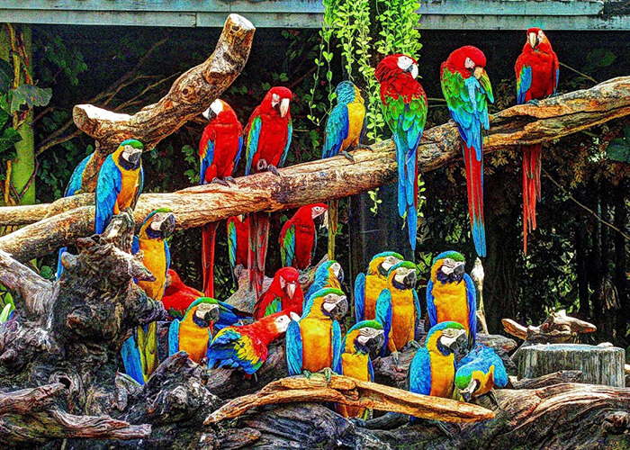 https://d3r8gwkgo0io6y.cloudfront.net/upload/XT/thailand-bangkok-safari-world-6.jpg