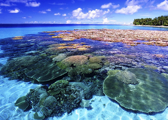 https://d3r8gwkgo0io6y.cloudfront.net/upload/XT/thailand-pattaya-coral-island-5.jpg