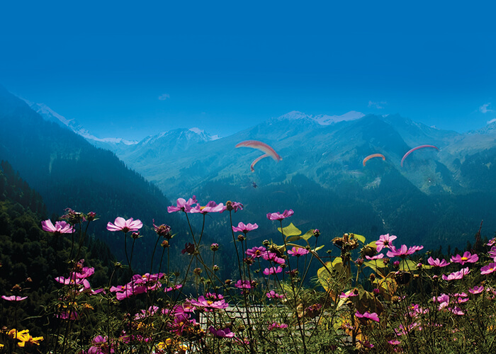 https://d3r8gwkgo0io6y.cloudfront.net/upload/Y3/India-Himchal-flower.jpg