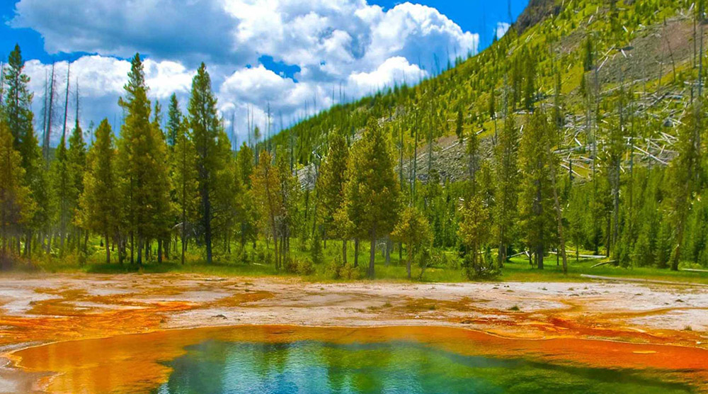 https://d3r8gwkgo0io6y.cloudfront.net/upload/YELLOWSTONE.jpg