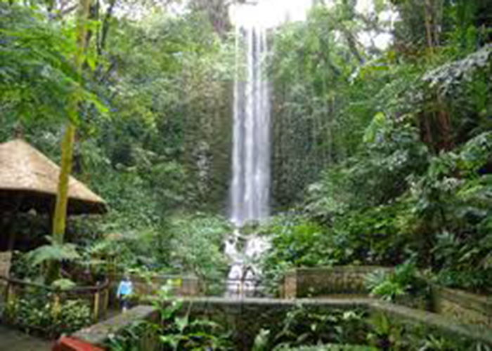 https://d3r8gwkgo0io6y.cloudfront.net/upload/ZC/-Singapore-jurong-bird-park-3.jpg
