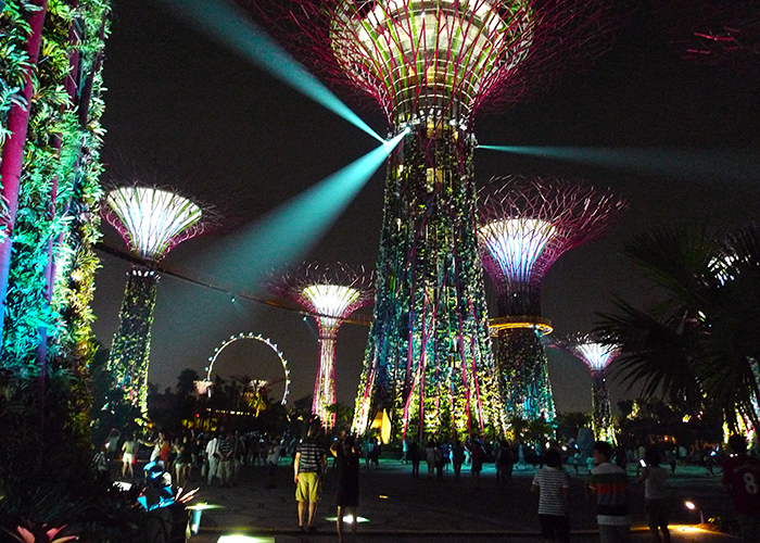 https://d3r8gwkgo0io6y.cloudfront.net/upload/ZC/Singapore-City-Garden-by-the-bay-4.jpg