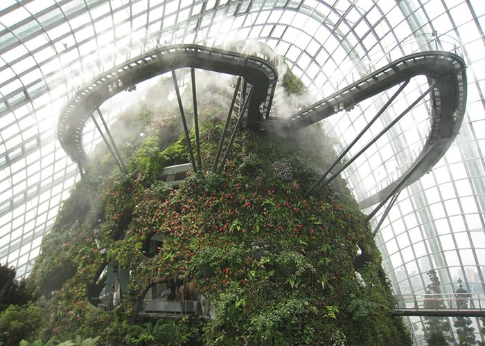 https://d3r8gwkgo0io6y.cloudfront.net/upload/ZC/Singapore-City-Garden-by-the-bay-5.jpg