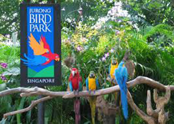 https://d3r8gwkgo0io6y.cloudfront.net/upload/ZC/Singapore-jurong-bird-park-1.jpg