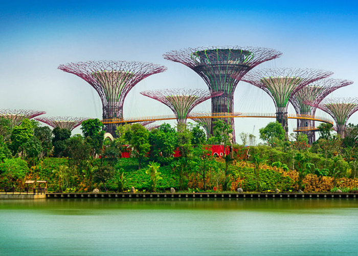 https://d3r8gwkgo0io6y.cloudfront.net/upload/ZC/singapore-garden-by-the-bay.jpg
