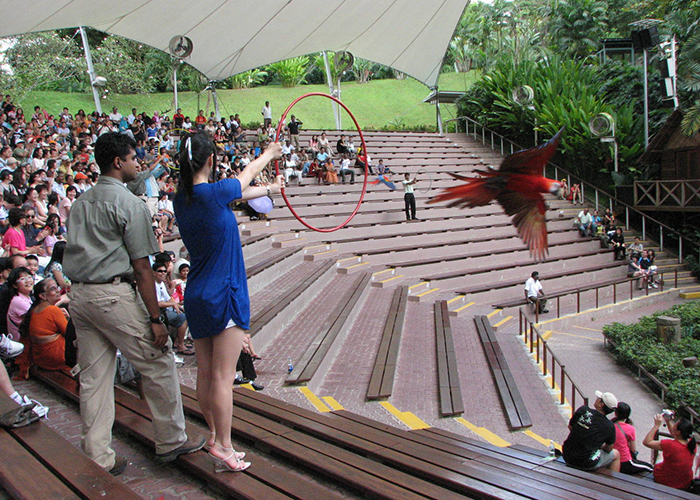 https://d3r8gwkgo0io6y.cloudfront.net/upload/ZD/-Singapore-Jurong-Bird-park-6.jpg