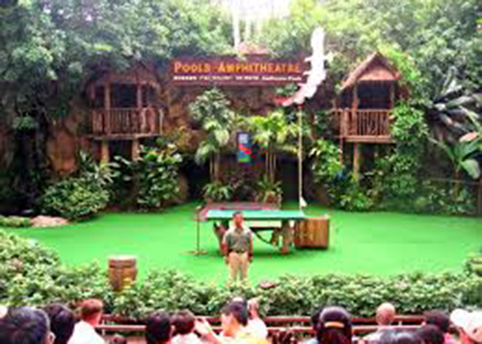 https://d3r8gwkgo0io6y.cloudfront.net/upload/ZD/Singapore-Jurong-bird-park-2.jpg