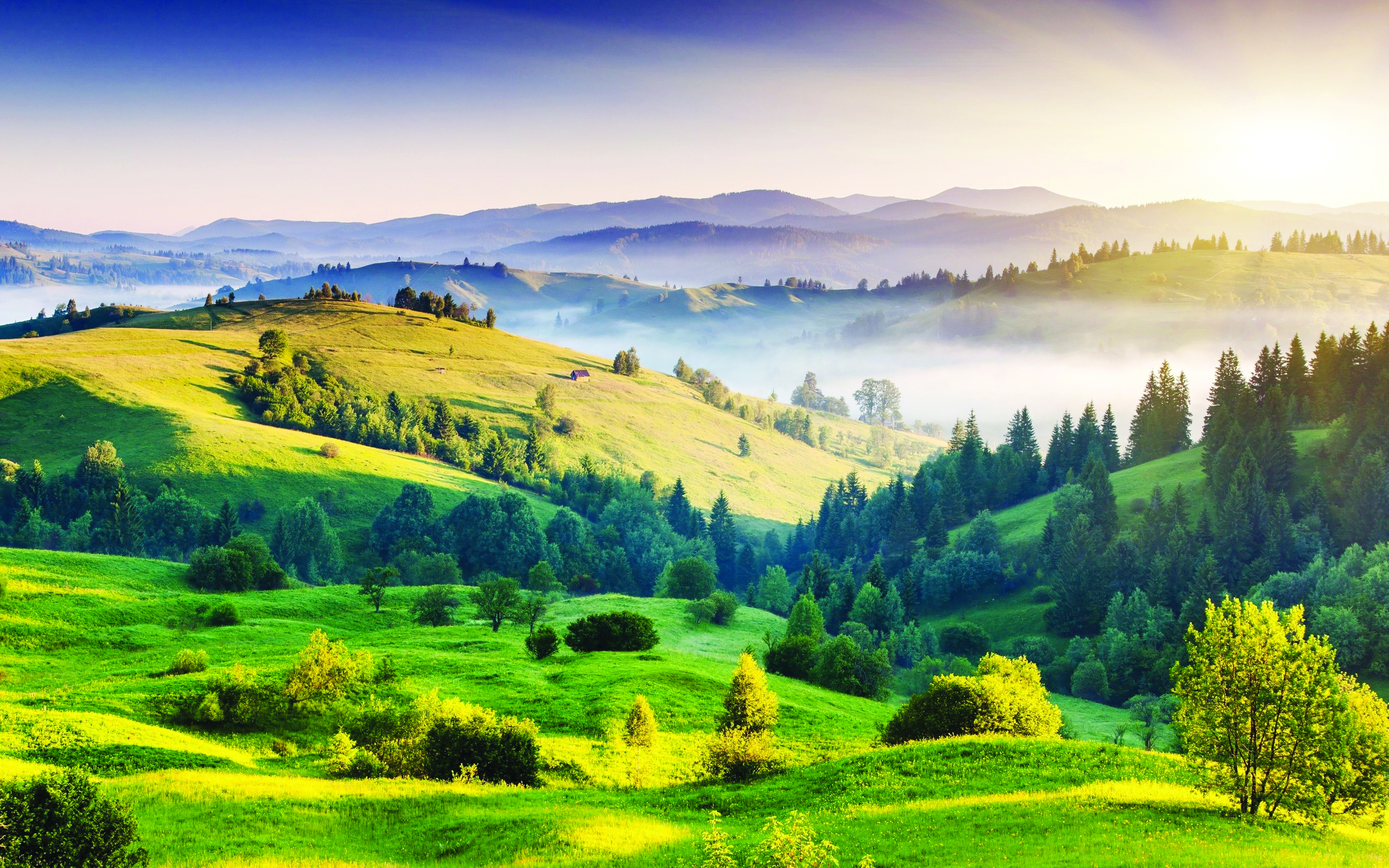 https://d3r8gwkgo0io6y.cloudfront.net/upload/kodaikanal-india-hills-hd-wallpaper.jpg
