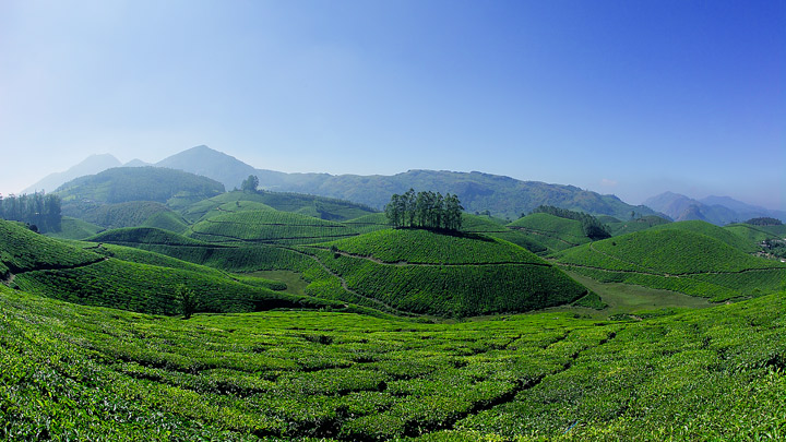 https://d3r8gwkgo0io6y.cloudfront.net/upload/munnar20131031131946_202_1.jpg