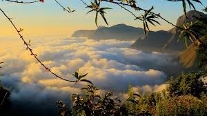 https://d3r8gwkgo0io6y.cloudfront.net/upload/munnar6.jpg