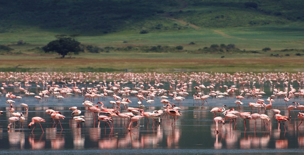 https://d3r8gwkgo0io6y.cloudfront.net/upload/ngorongoro-crater.jpg