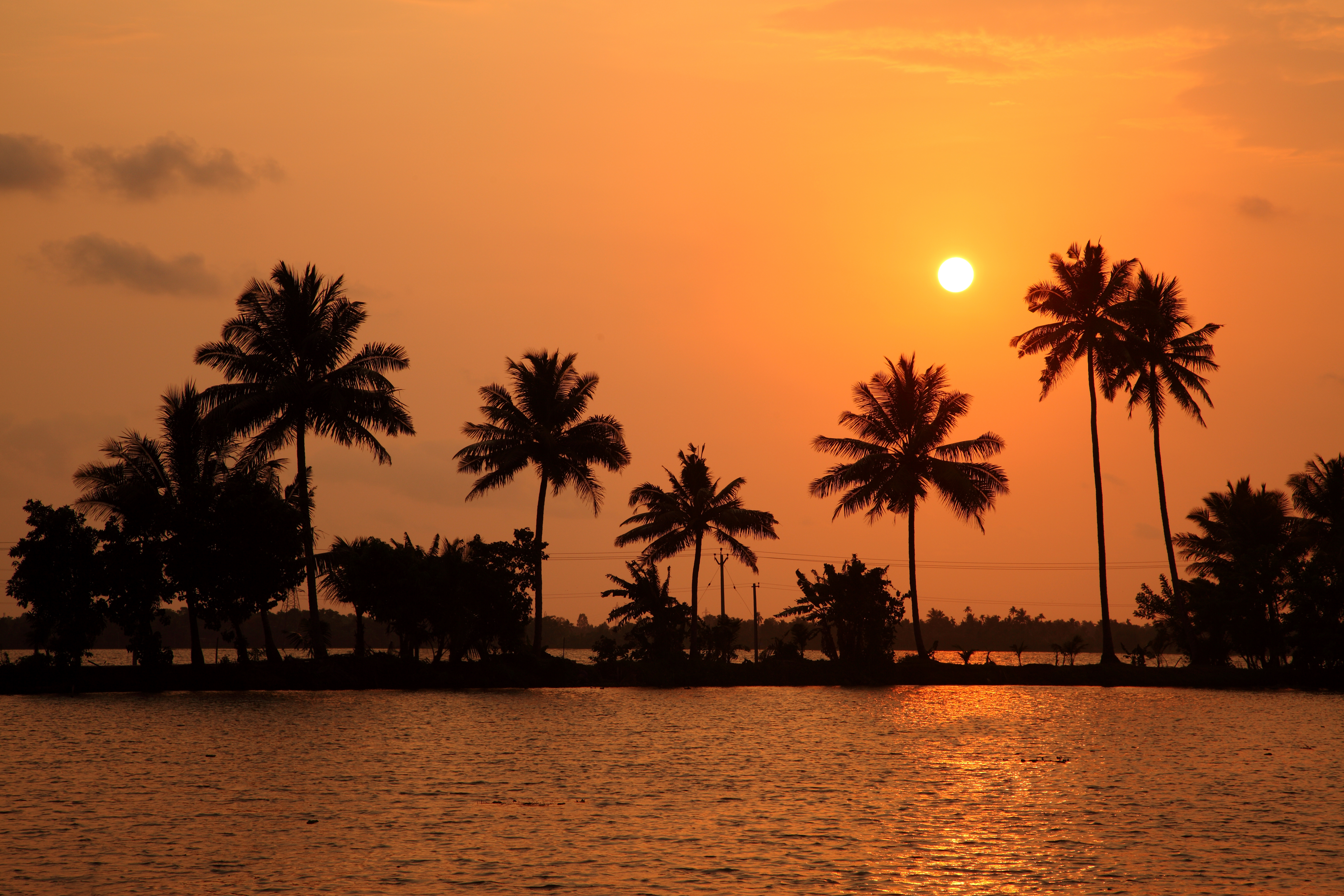 https://d3r8gwkgo0io6y.cloudfront.net/upload/periyar.jpg