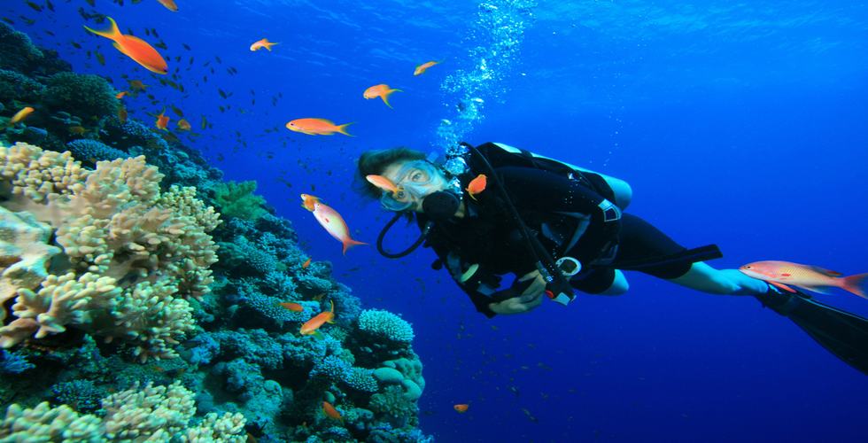 https://d3r8gwkgo0io6y.cloudfront.net/upload/snorkelling.jpg