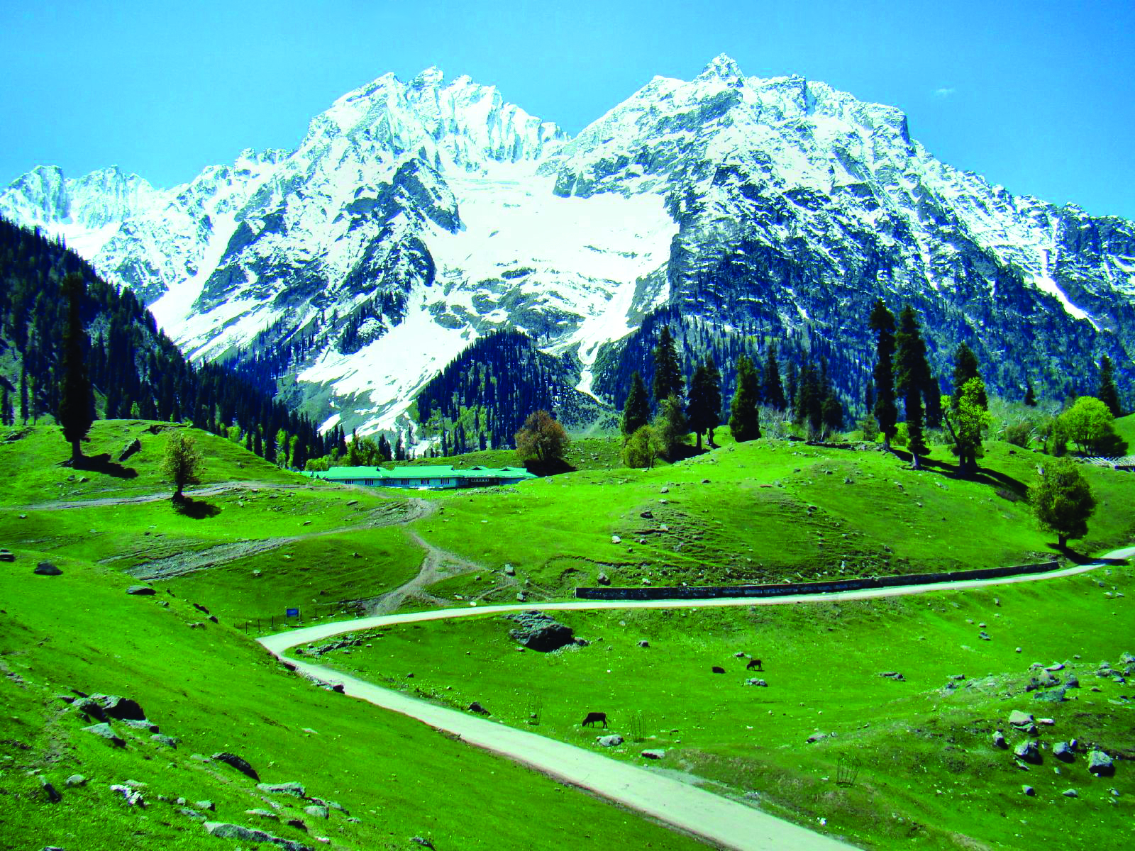 https://d3r8gwkgo0io6y.cloudfront.net/upload/sonmarg.jpg