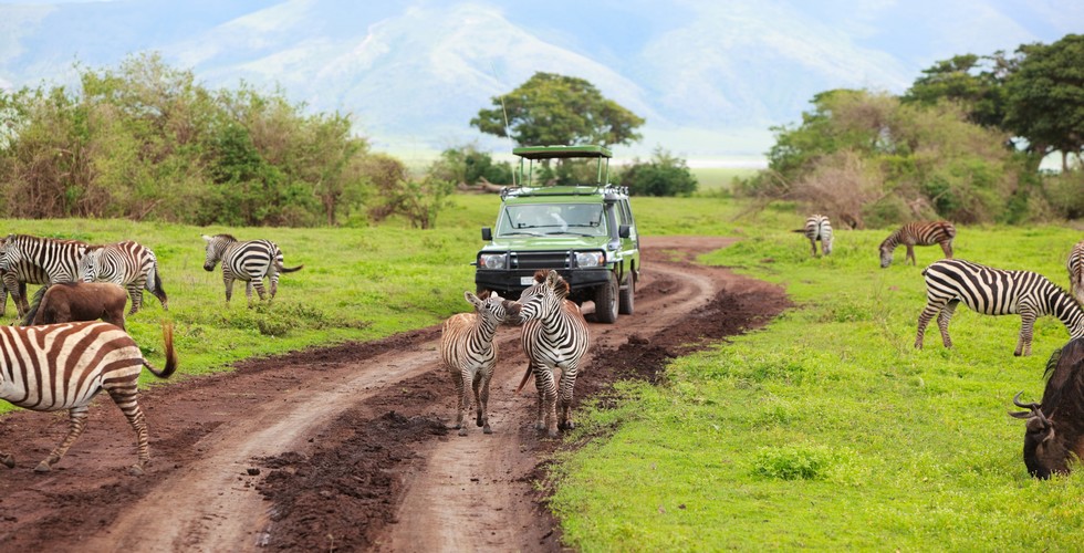 https://d3r8gwkgo0io6y.cloudfront.net/upload/tanzania%20national%20park.jpg