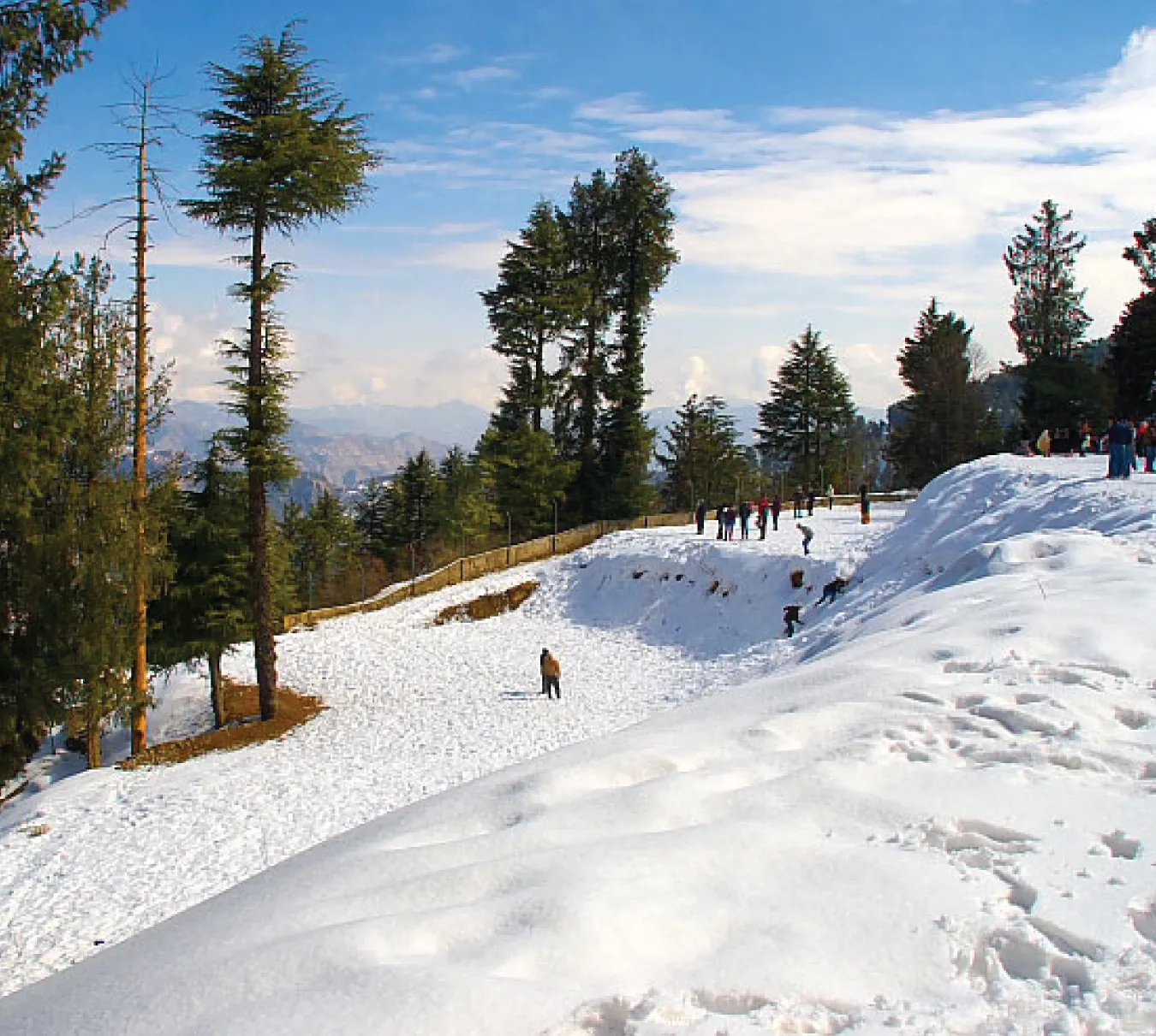 SPECTACULAR SHIMLA MANALI
