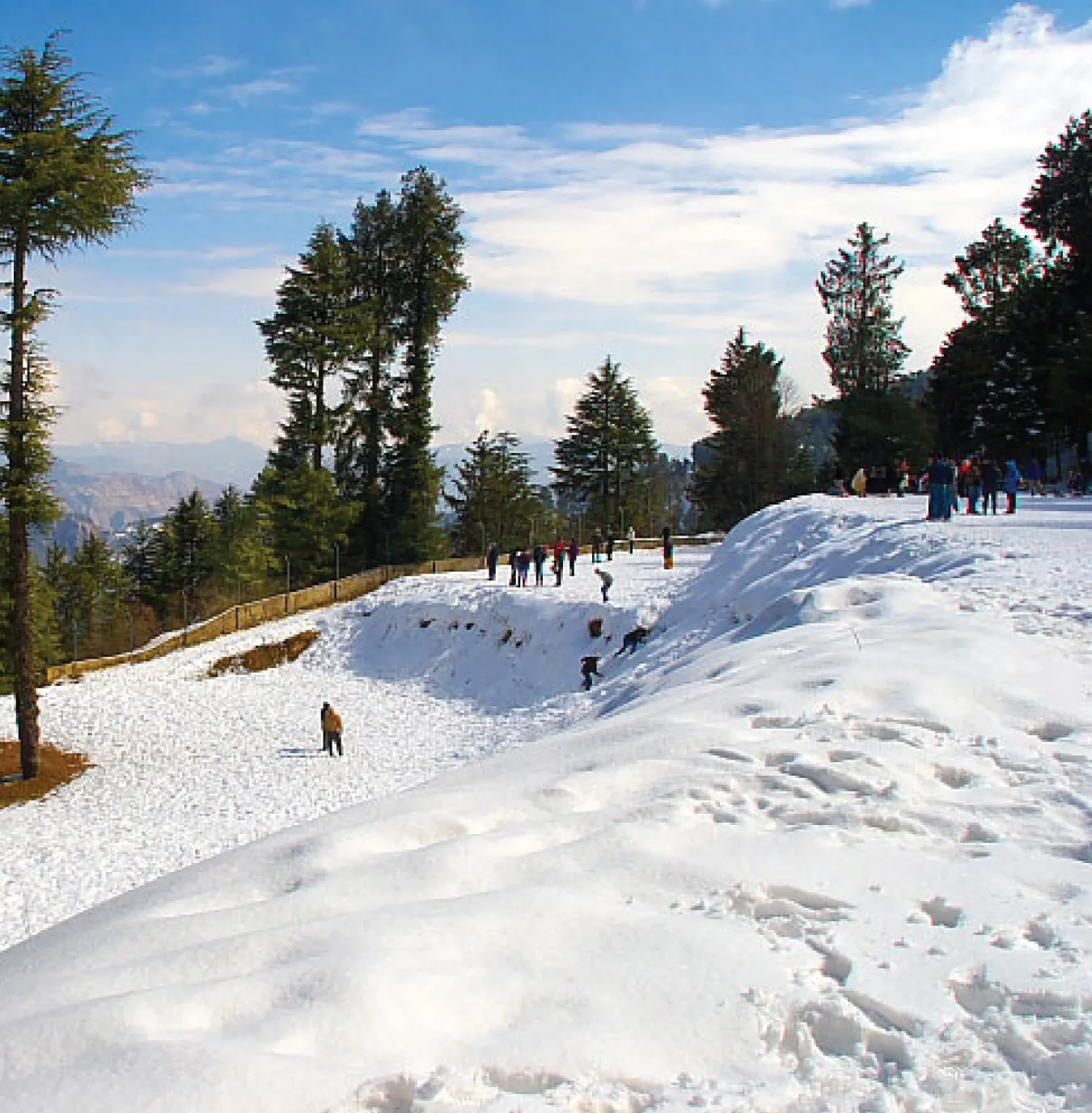 SPECTACULAR SHIMLA MANALI