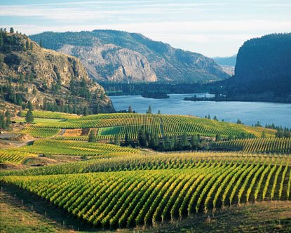 https://d3r8gwkgo0io6y.cloudfront.net/upload/wineries.jpg